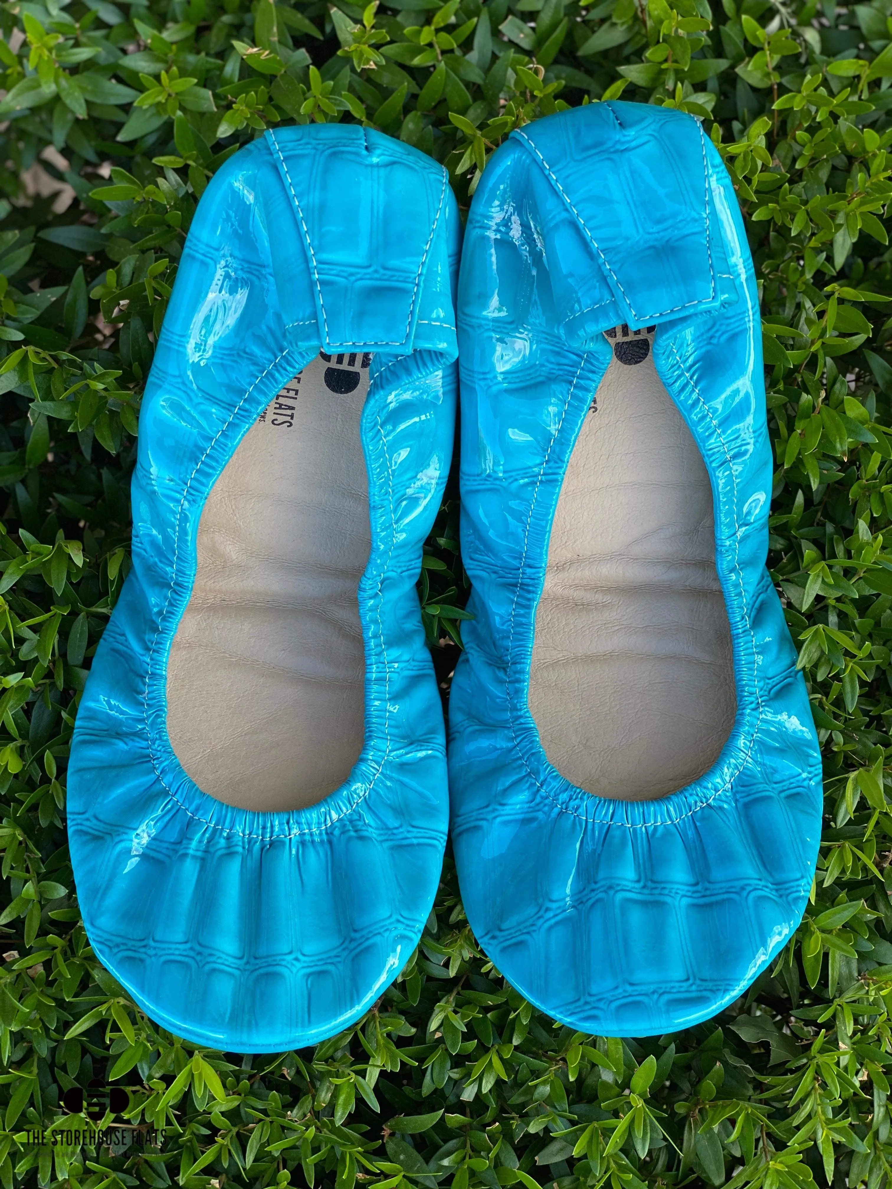 Blue Gummy Sharks Gator